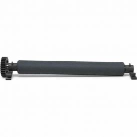 Zebra Platen roller, linerless, geschikt voor de ZD421d (203 dpi), ZD621d (203 dpi)